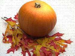 Pumpkin version 2, February 2000