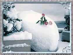 Winter Bloom. New version September, 2000