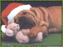 Christmas Dog version 2. Easy Install.