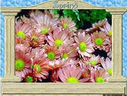 Spring