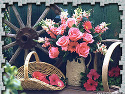 Country Flowers