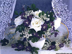 White Rose