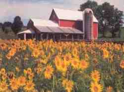 A Beautiful fall day on the Farm.
