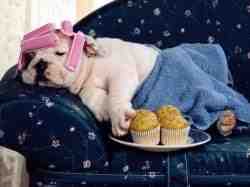 We've all had one of these days! Sounds are from Lorrie Morgan. Hotbar is included. Enjoy!