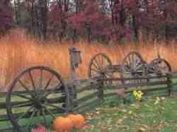 Enjoy the scene of a Rustic Fall.